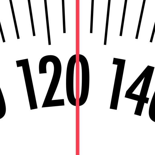 weight diary