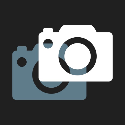 camera overlay for business
