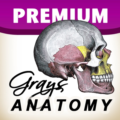 grays anatomy premium edition