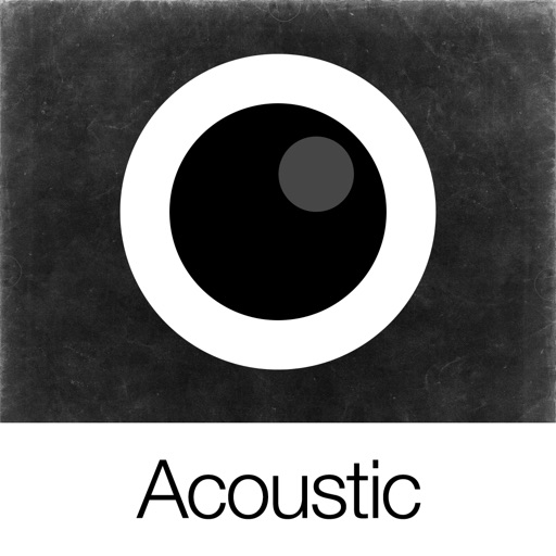 analog acoustic