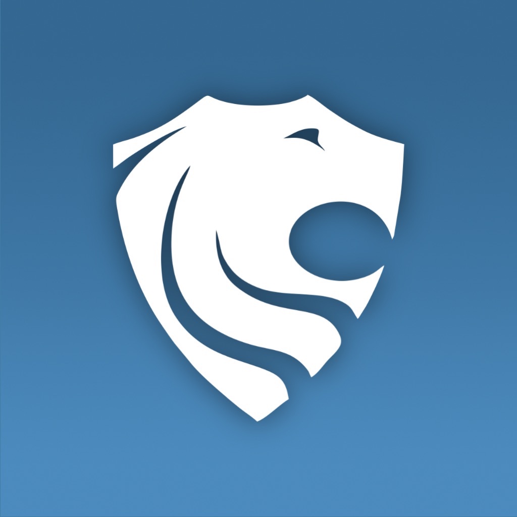 PocketLion Budget