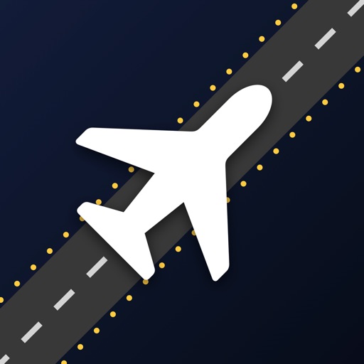 airport director: tycoon sim