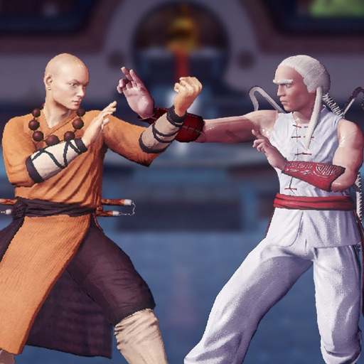 shaolin vs wutang - fighting