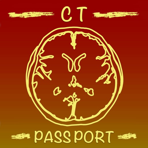 ct passport 頭部