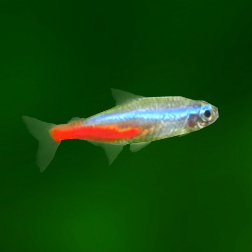 熱帯魚育成「ミニアクア」癒しのアクアリウム体験