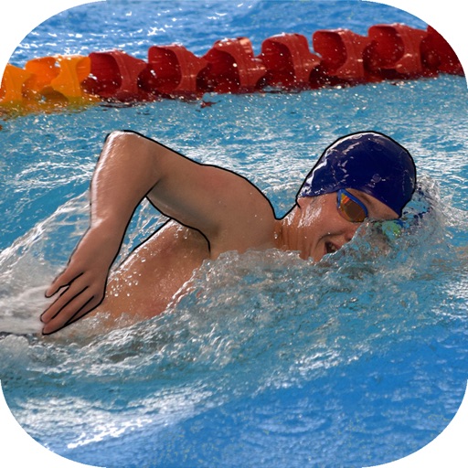 swimchamp