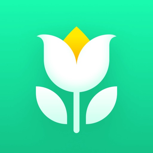 plant parent - guida alla cura