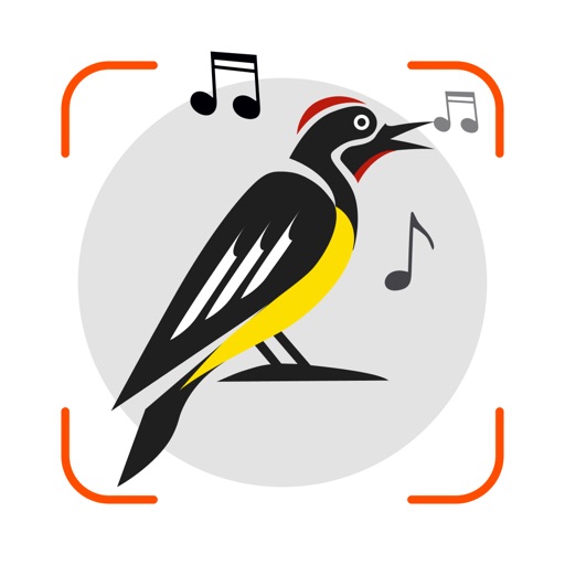 bird song identifier uk sound