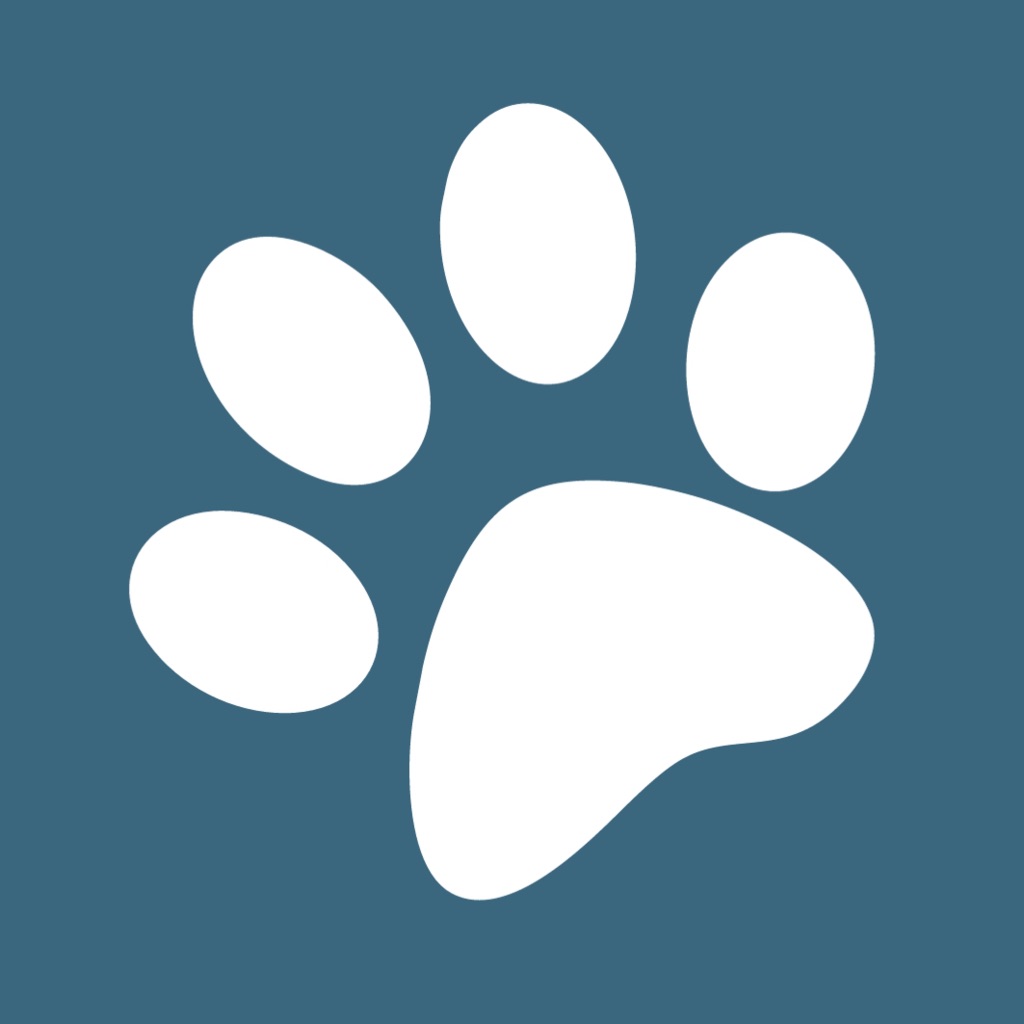 Homeopathy For Dog Owners