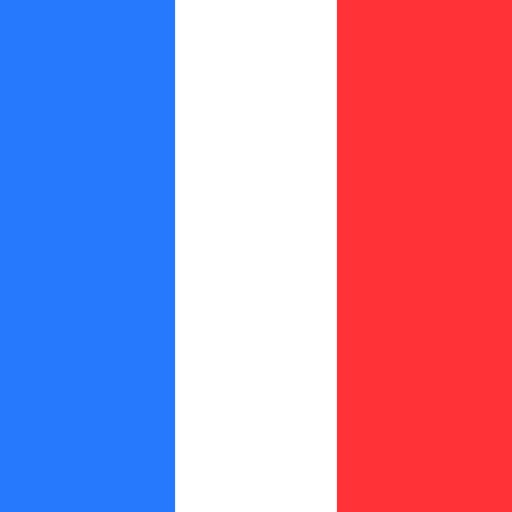 la constitution française