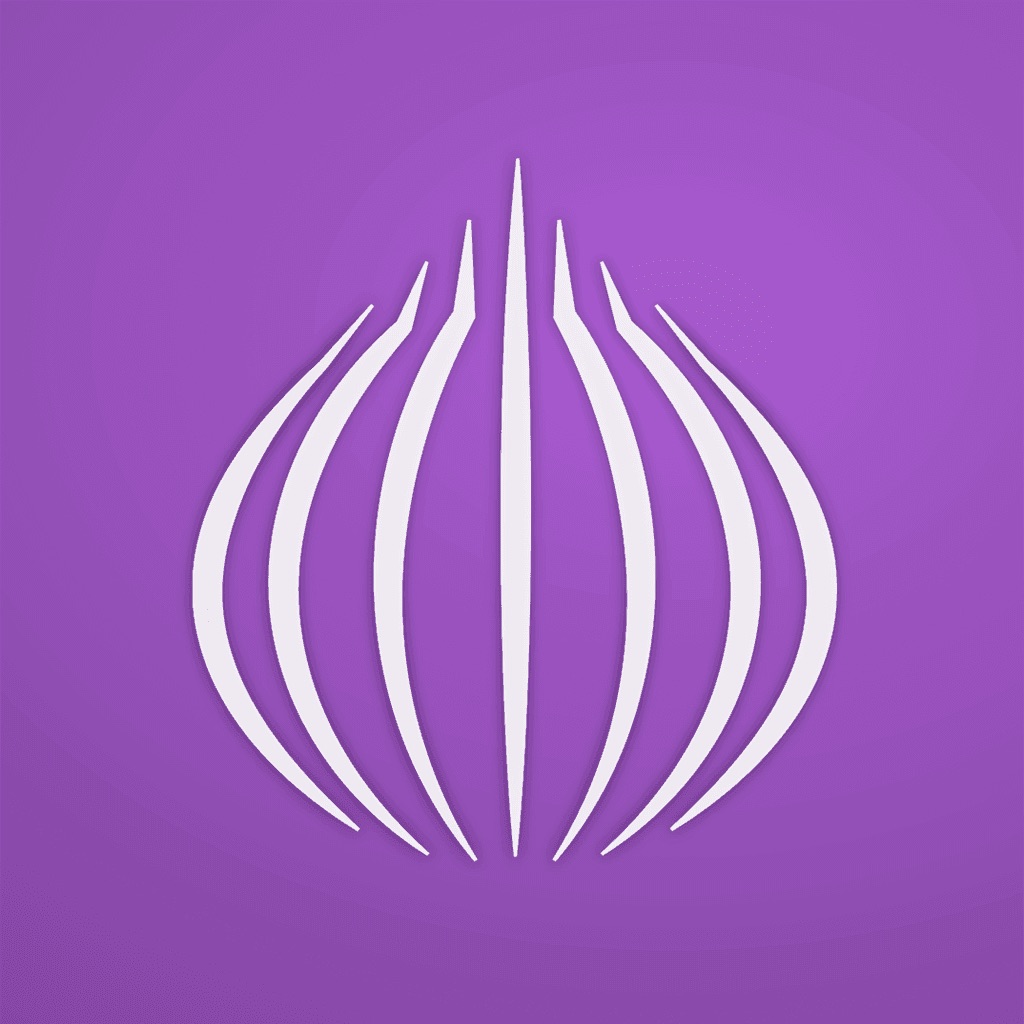 TOR Browser: OrNET Onion + VPN