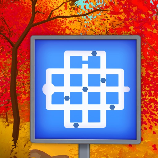the witness