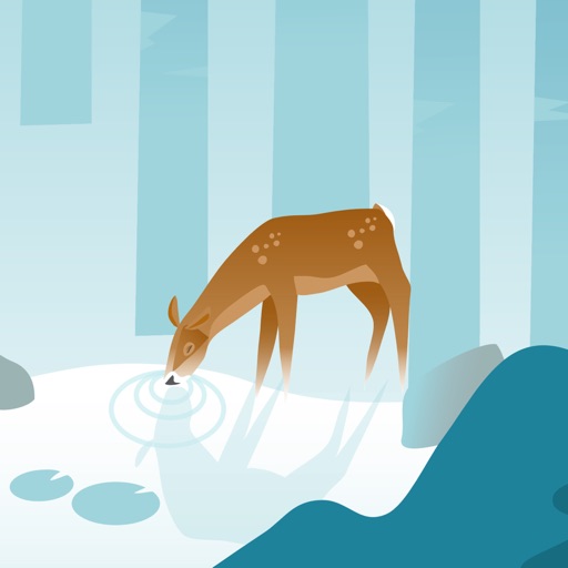 wildfulness: relax naturaleza