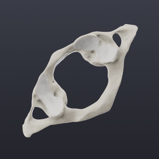 biomechanics of the spine lite