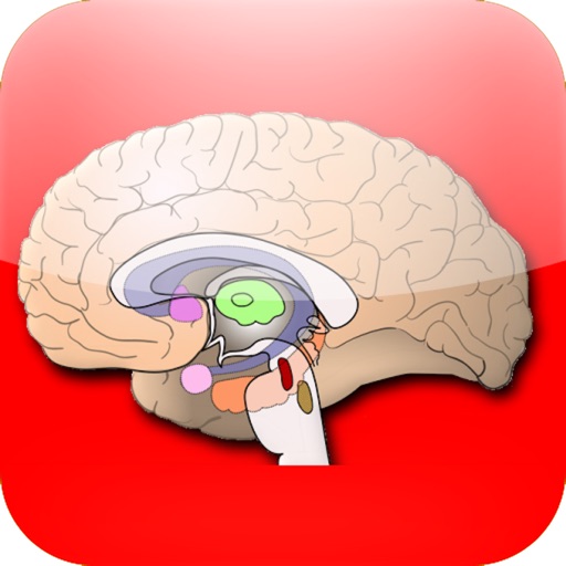 anatomy atlas