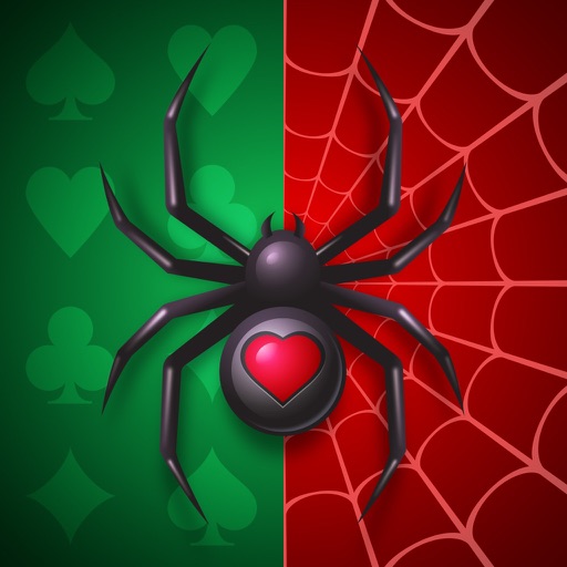 spider solitaire - retro card