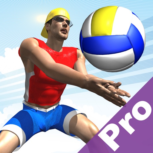 beach volley pro