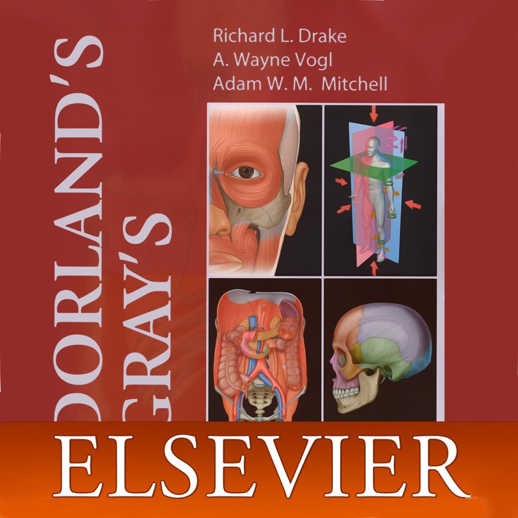 Dorland’s Medical Dictionary