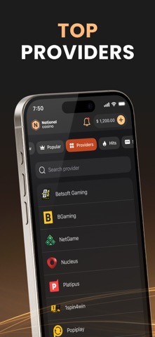 screenshot 9