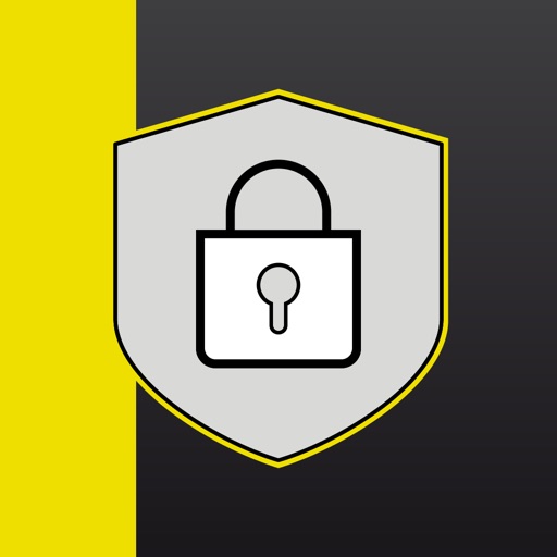 securego+ renault bank direkt